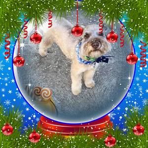 Meet your Posher, Sonia